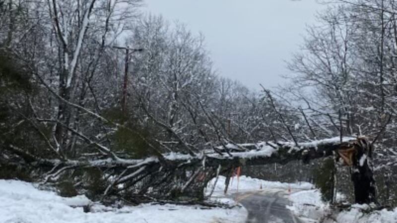 Central Maine Power has more than 1,500 line and tree workers out Sunday restoring power.