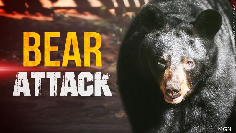 Maine wardens are investigating after an incident where a black bear hit a Porter woman after...