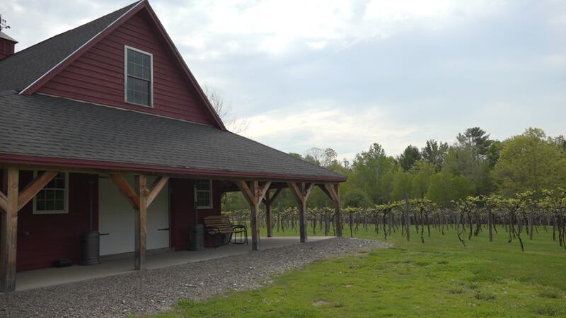 Dragonfly Farm & Winery, Stetson