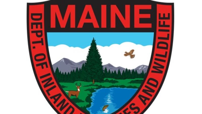 Speed is likely the cause of a crash that claimed the life of a 25-year-old Caribou man the...