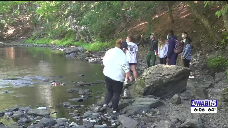 Maine Tree program helping students gain knowledge of the outdoors