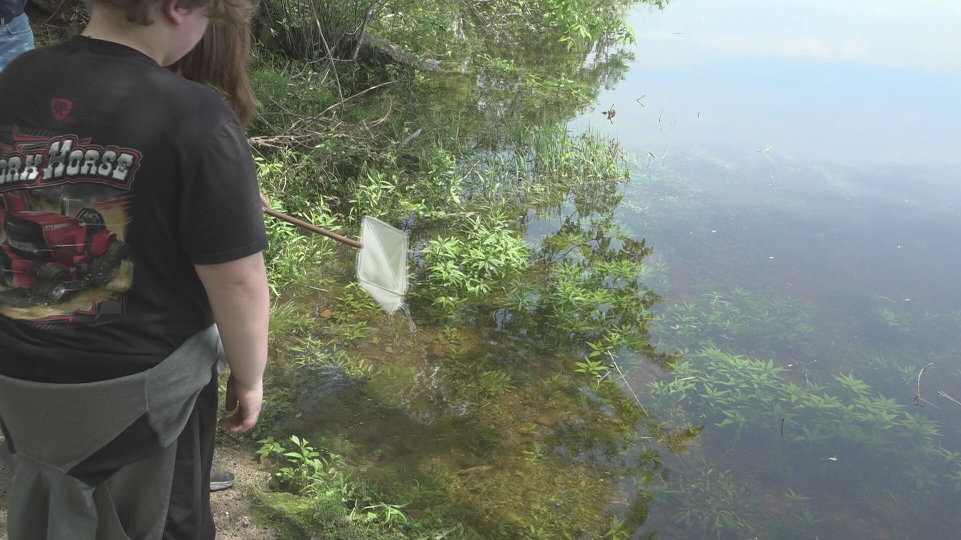 Fourth graders release salmon into the Penobscot River - Vimarsana News