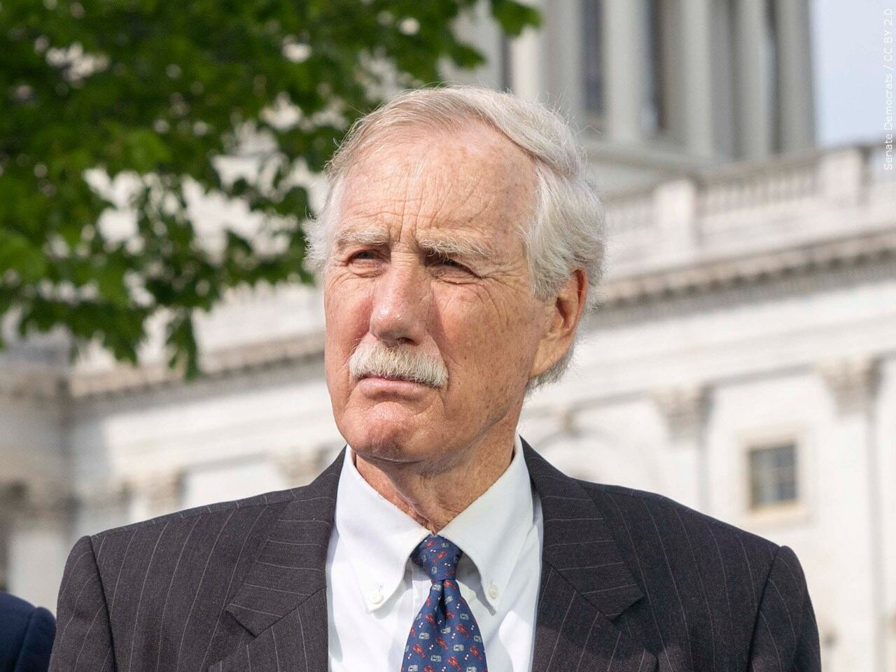 Sen. King formally announces intention to seek a third term as U.S. Senator - Vimarsana News