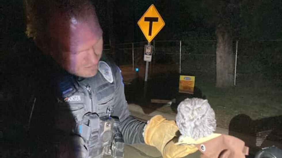The Payson Police Department would also like to take this opportunity to encourage the public...