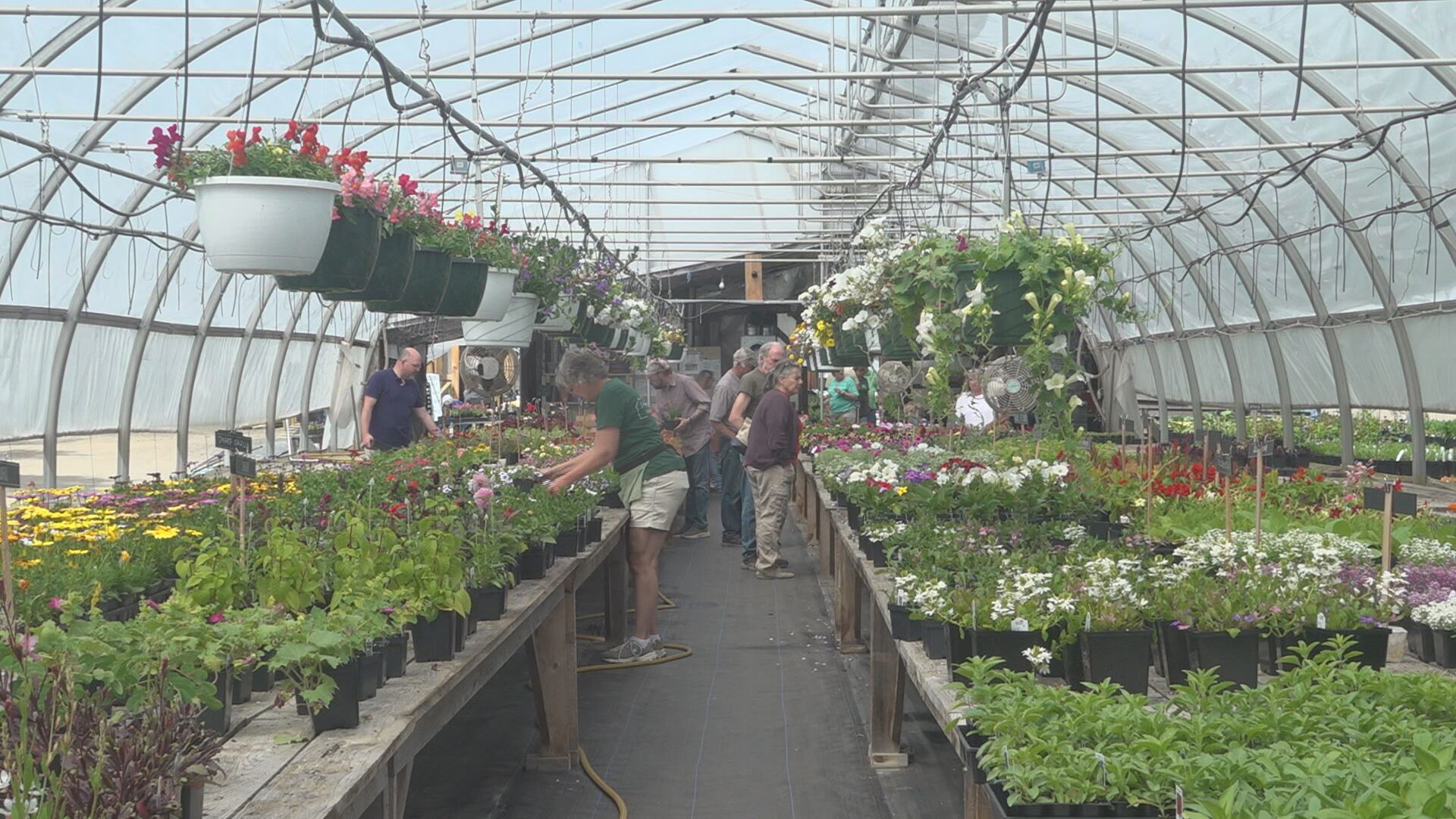 Ledgewood Gardens hosts Memorial Day weekend event - Vimarsana News